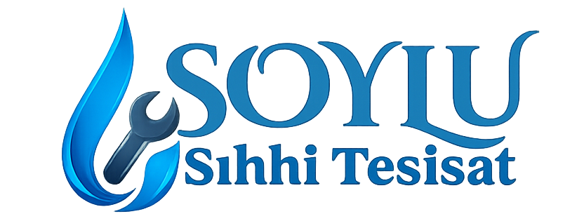 Soylu
